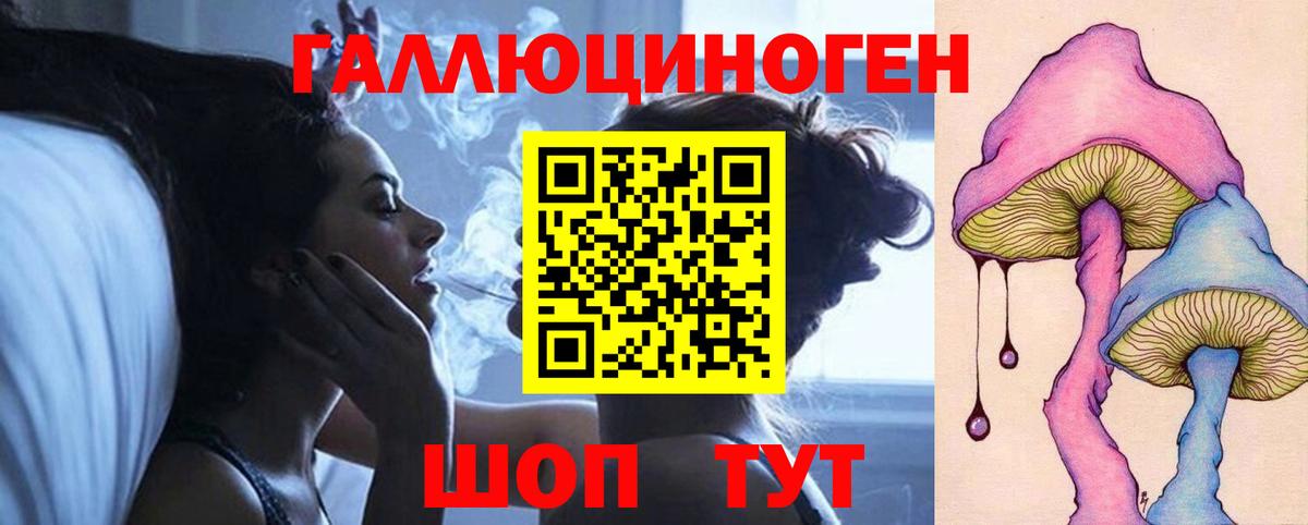 Галлюциногенные грибы Psilocybine cubensis Гурьевск