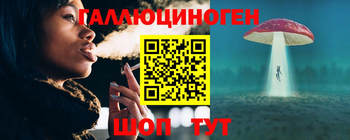 Гурьевск  наркота  Вход с VPN  Псилоцибиновые грибы прущие грибы 